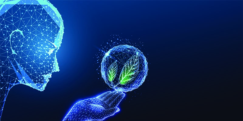 AI shutterstock_2476521095 copy.jpg